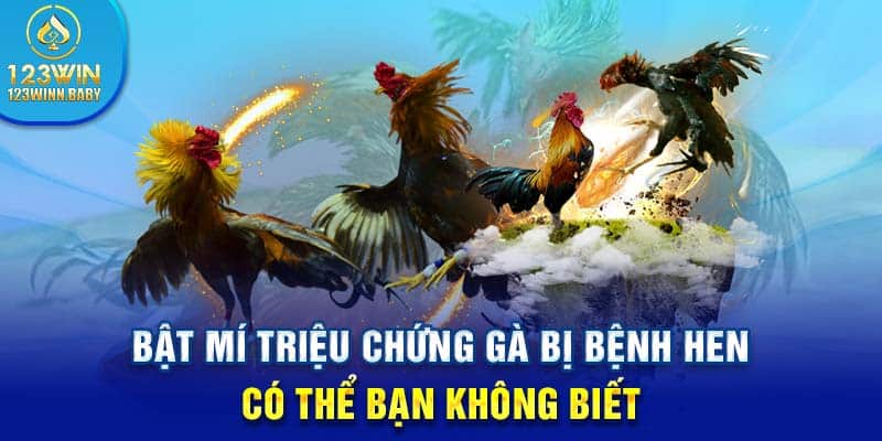 Bật mí triệu chứng gà bị bệnh hen có thể bạn không biết