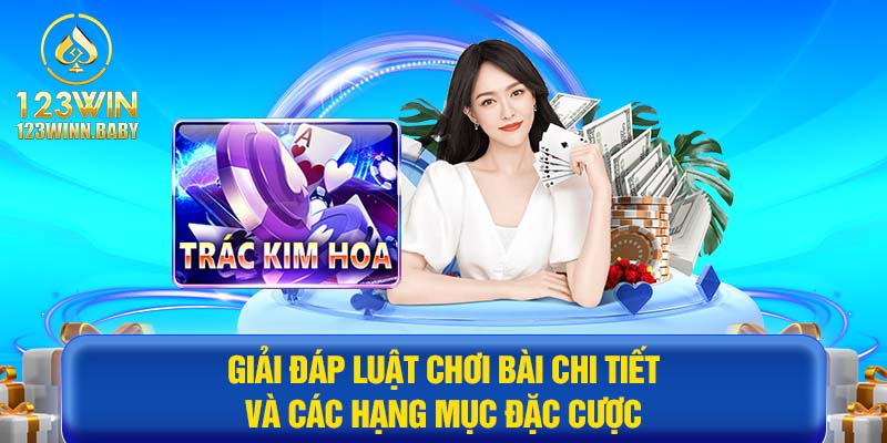 Giải đáp luật chơi bài chi tiết và các hạng mục đặc cược