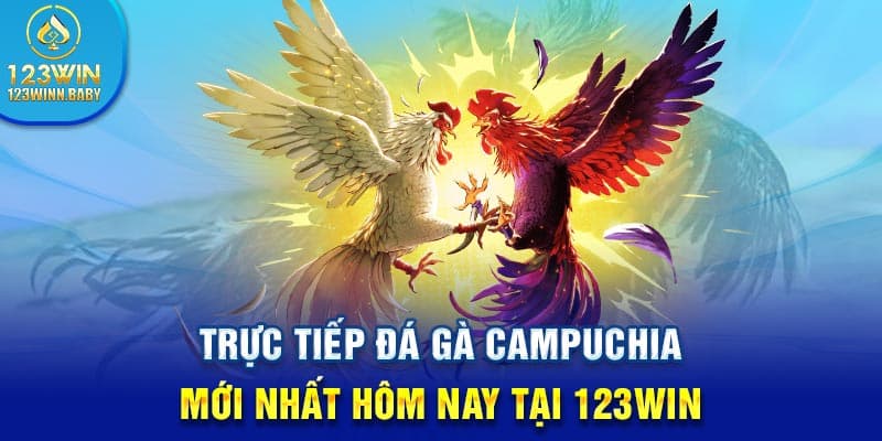 Trực Tiếp Đá Gà Campuchia Mới Nhất Hôm Nay Tại 123win