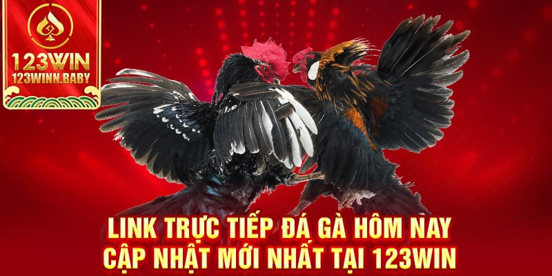 Link Trực Tiếp Đá Gà Hôm Nay Cập Nhật Mới Nhất Tại 123win