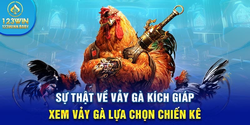 Sự Thật Về Vảy Gà Kích Giáp - Xem Vảy Gà Chọn Chiến Kê