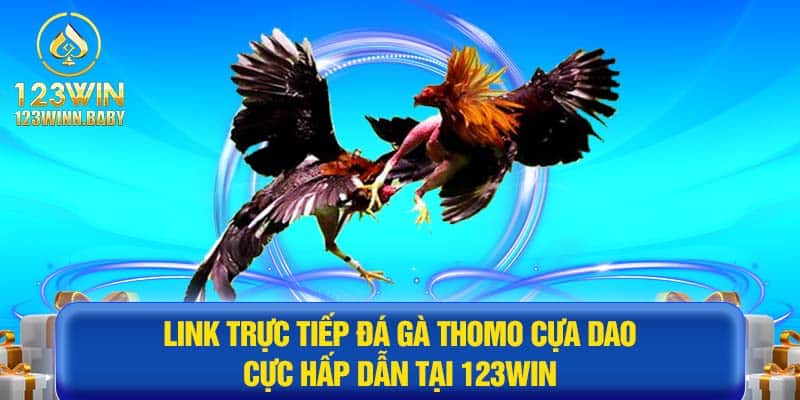 Link Trực Tiếp Đá Gà Thomo Cựa Dao Cực Hấp Dẫn Tại 123win