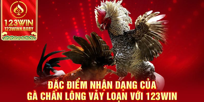 Đặc Điểm Nhận Dạng Của Gà Chân Lông Vảy Loạn Với 123WIN