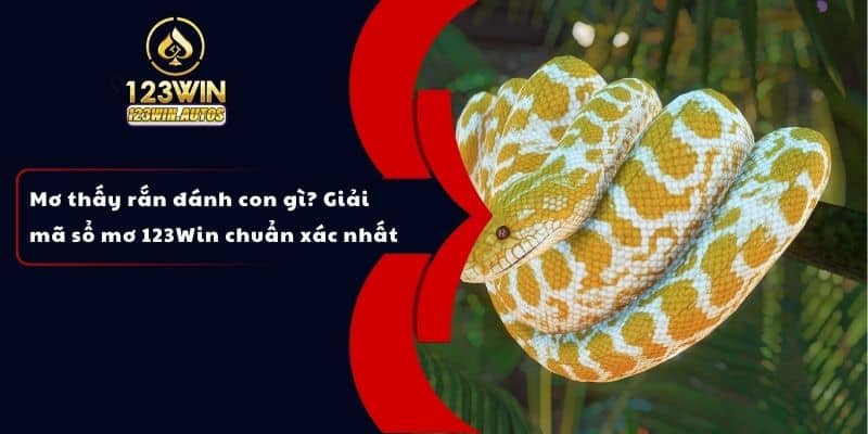 Mơ thấy rắn đánh con gì? Giải mã sổ mơ 123Win chuẩn xác nhất