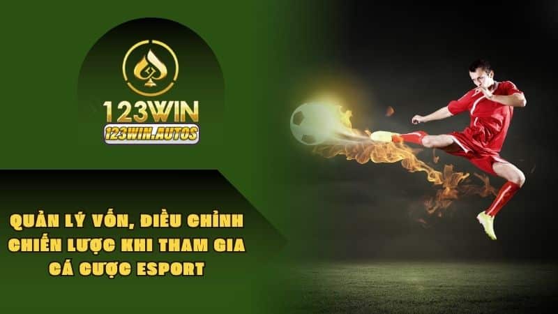 Quản lý vốn, điều chỉnh chiến lược khi tham gia cá cược esport