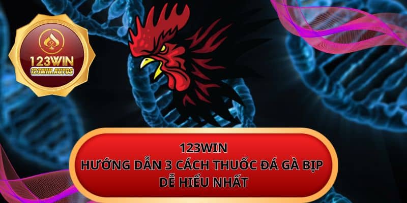 Hướng Dẫn 3 Cách Dùng Thuốc Đá Gà Bịp Dễ Hiểu Nhất