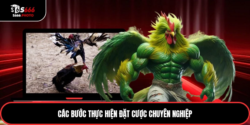 Các bước thực hiện đặt cược chuyên nghiệp